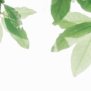 在线免费观看黄91
