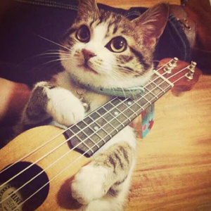 在线免费观看黄91
